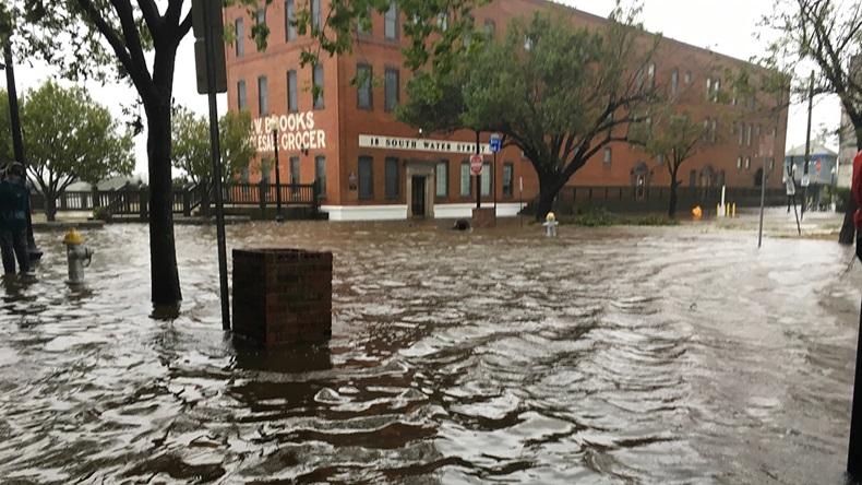 MicheleMidnight/Shutterstock.com