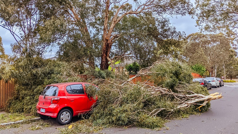 Chris Putnam/Alamy Stock Photo