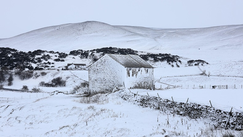 Storm Arwen (David Forster/Alamy Live News)