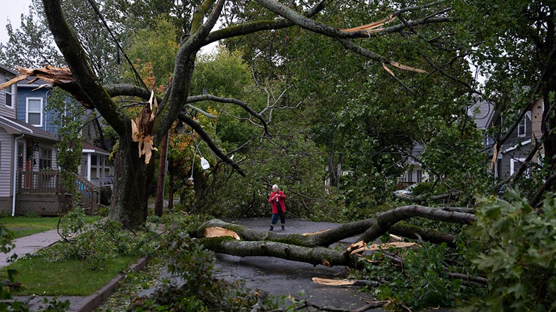 Hurricane Fiona Canada (2022) (Darren Calabrese/The Canadian Press via Zuma Press/Alamy Stock Photo)