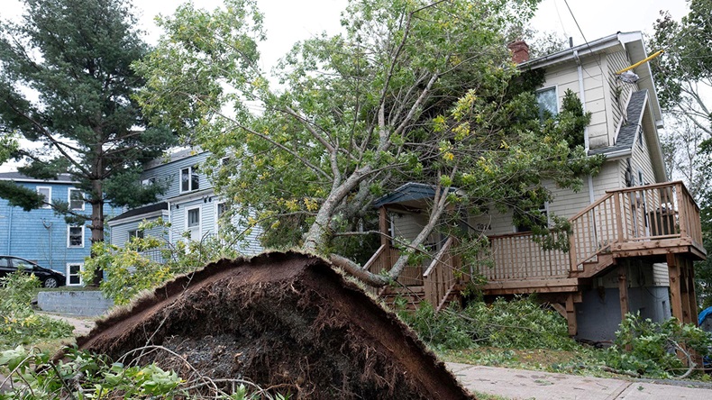 Hurricane Fiona Canada (2022) (REUTERS/Ted Pritchard/Alamy Stock Photo)