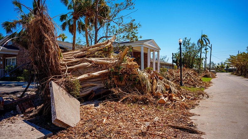 felix mizioznikov/Alamy Stock Photo