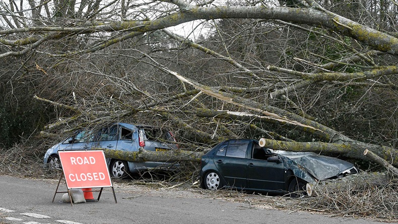 Graham Hunt/Alamy Live News