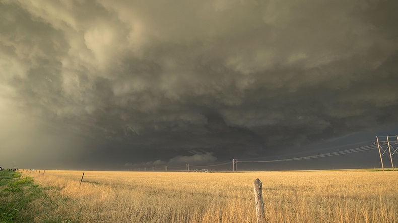 Menno van der Haven/Alamy Stock Photo