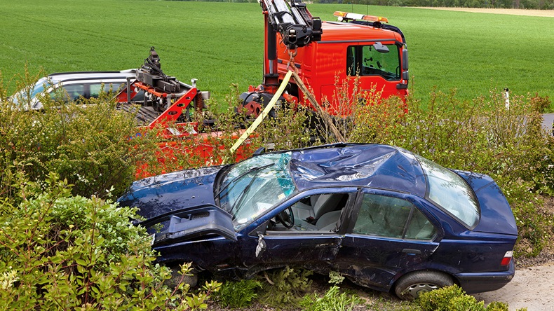 blickwinkel/Alamy Stock Photo