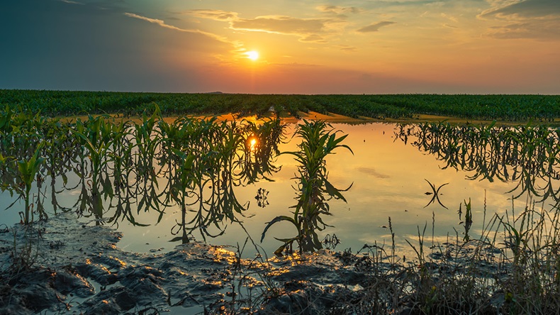 Igor Stevanovic/ Alamy Stock Photo 