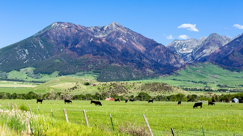 Ian Dagnall/Alamy Stock Photo