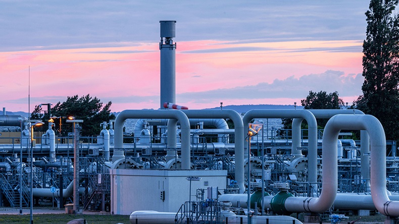 dpa picture alliance/Alamy Stock Photo