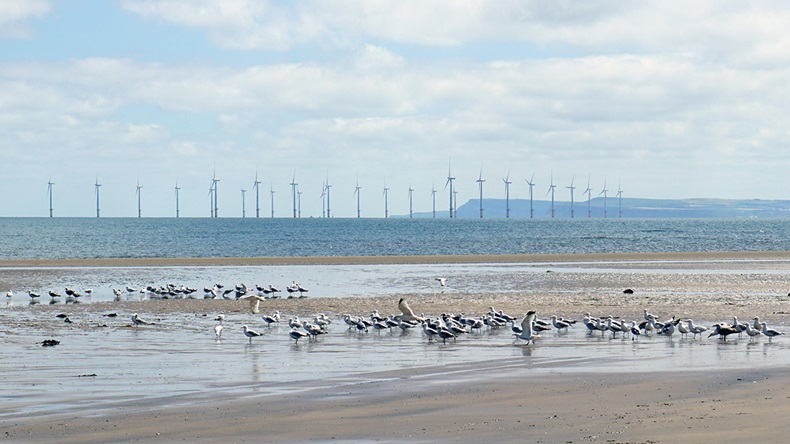 Offshore wind (Topseee/Alamy Stock Photo)