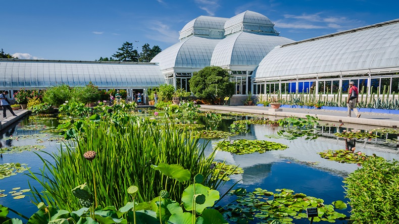 Sandra Foyt/Alamy Stock Photo