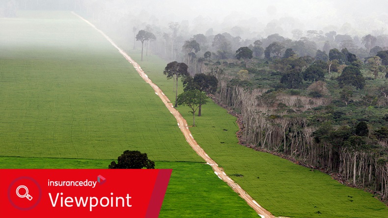 BrazilPhotos/Alamy Stock Photo