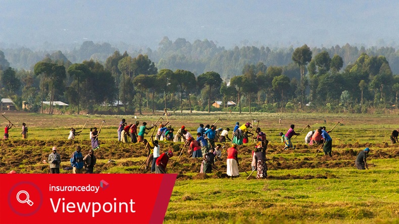 Rwanda farmers (Keren Su/China Span/Alamy Stock Photo)