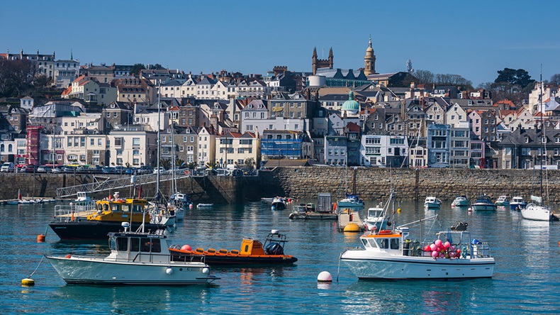 imageBROKER/Alamy Stock Photo