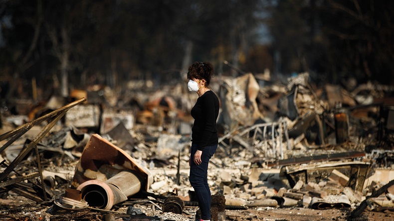 Jae C Hong/Shutterstock.com