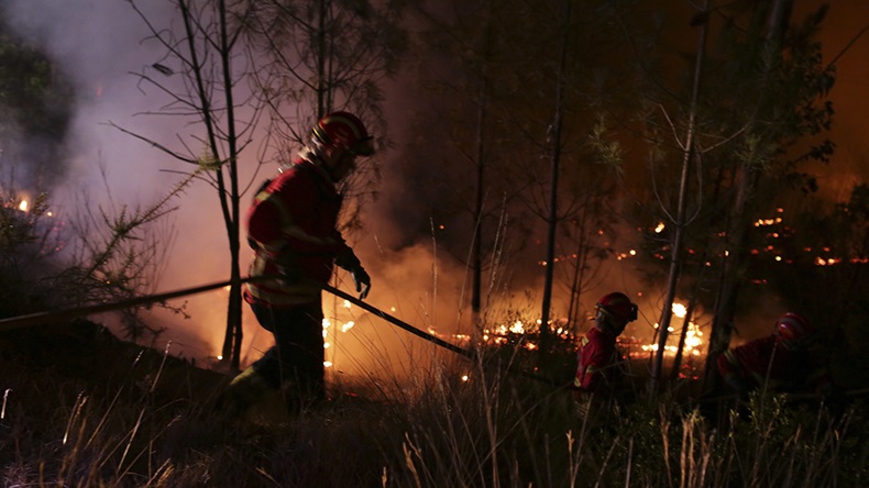 Portugal wildfire (2017) (Armando Franca/AP)