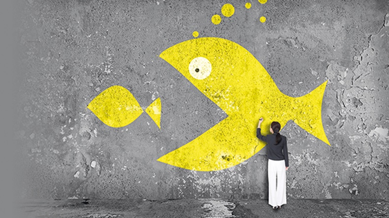 Big fish little fish (maxsattana/Shutterstock.com)