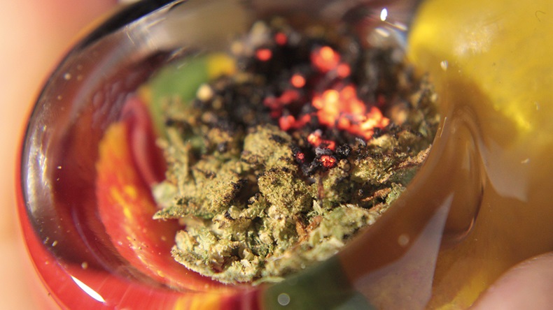 Vuk Stajic/Shutterstock.com