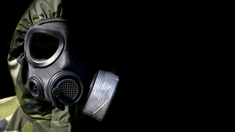 Andreas Gradin/Shutterstock.com