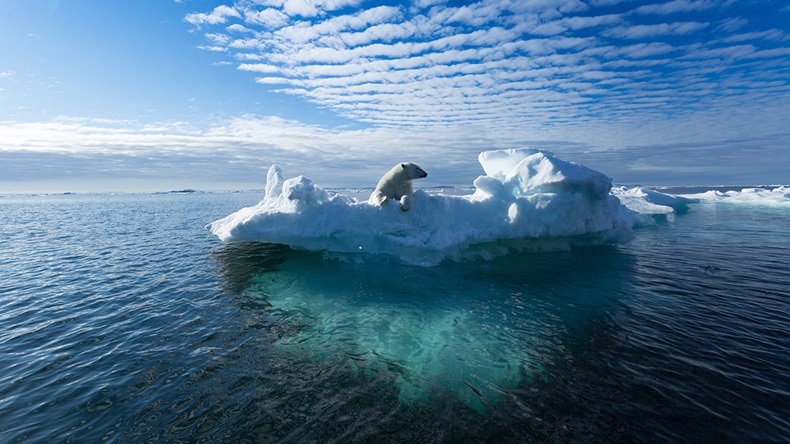 Climate change (Ritesh Chaudhary/Shutterstock.com)