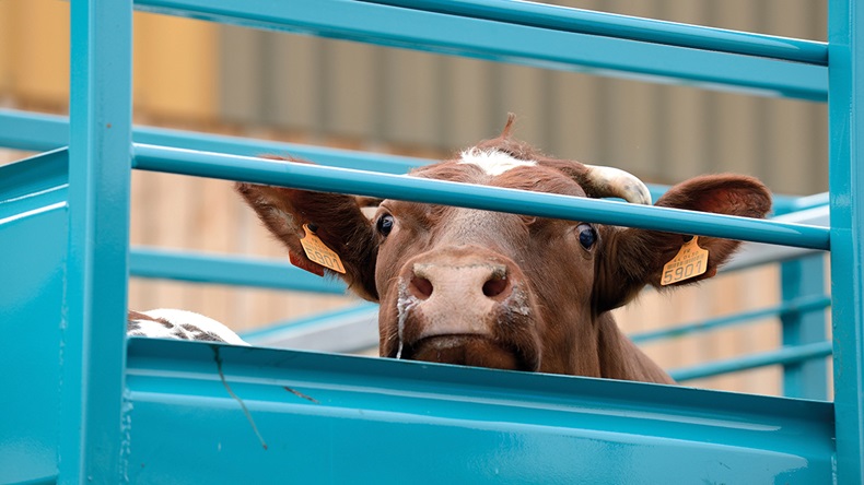 Photoagriculture/Shutterstock.com