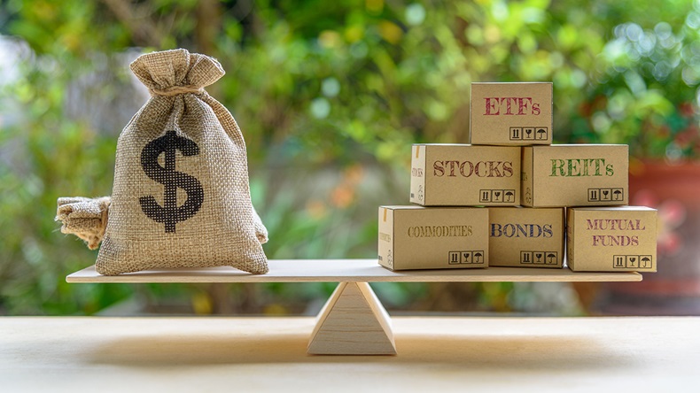 Diversification (William Potter/Shutterstock.com)