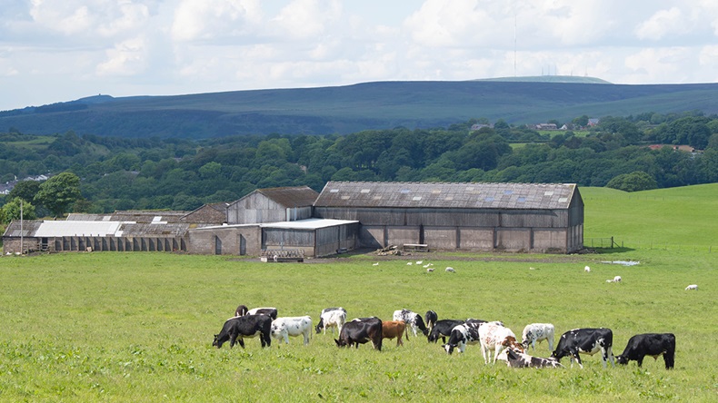 England farm (Michael J P/Shutterstock.com)