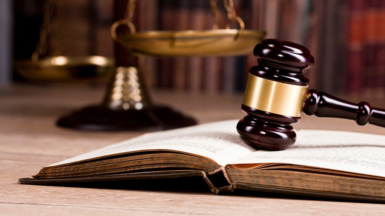 Gavel, scales, law book (Dziobek/Shutterstock.com)