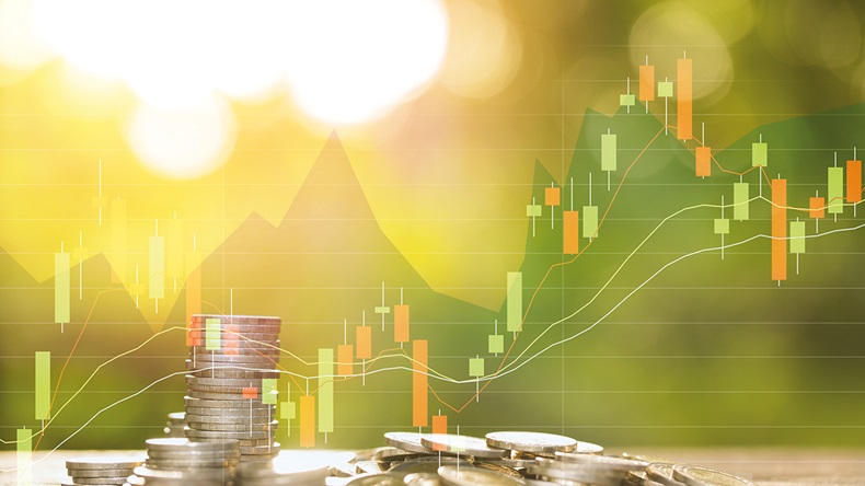 Pushish Images/Shutterstock.com