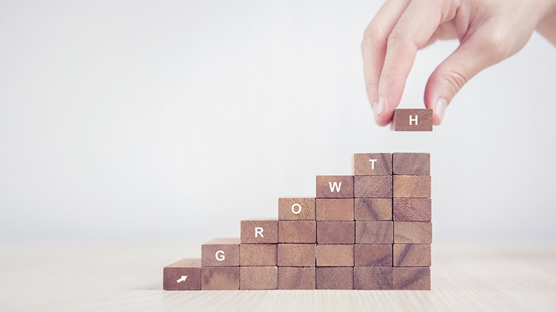 Growth (oatawa/Shutterstock.com)