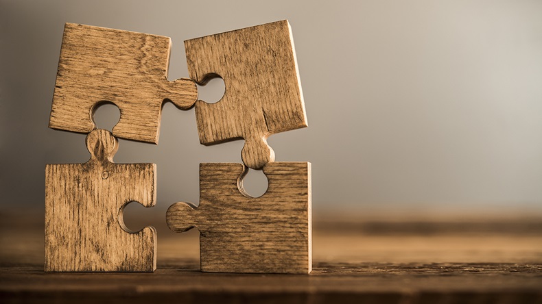 Jigsaw (maradon 333/Shutterstock.com)