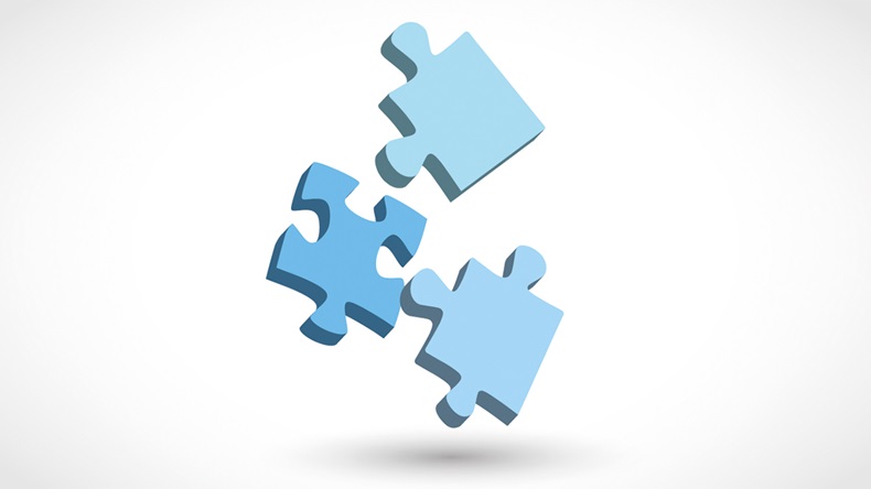 Jigsaw pieces (Wiktoria Matynia/Shutterstock.com)