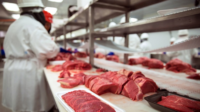 El Nariz/Shutterstock.com