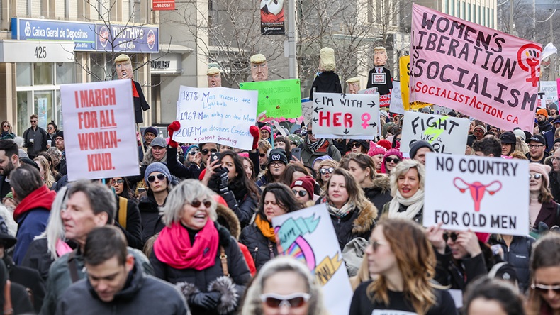 MeToo (Shawn Goldberg/Shutterstock.com)