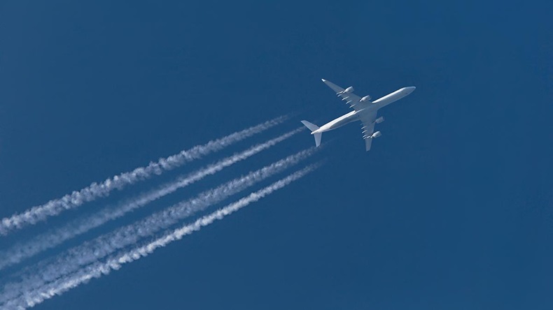 Peter Gudella/Shuttrestock.com