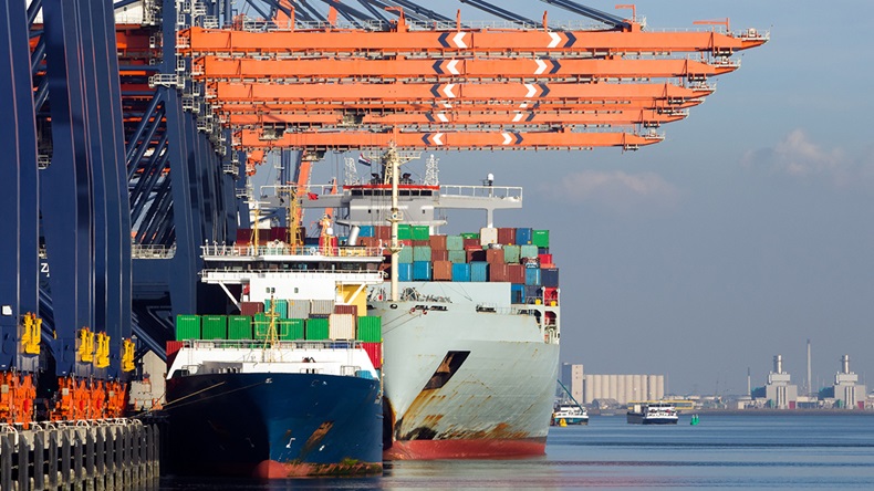 VanderWolf Images/Shutterstock.com