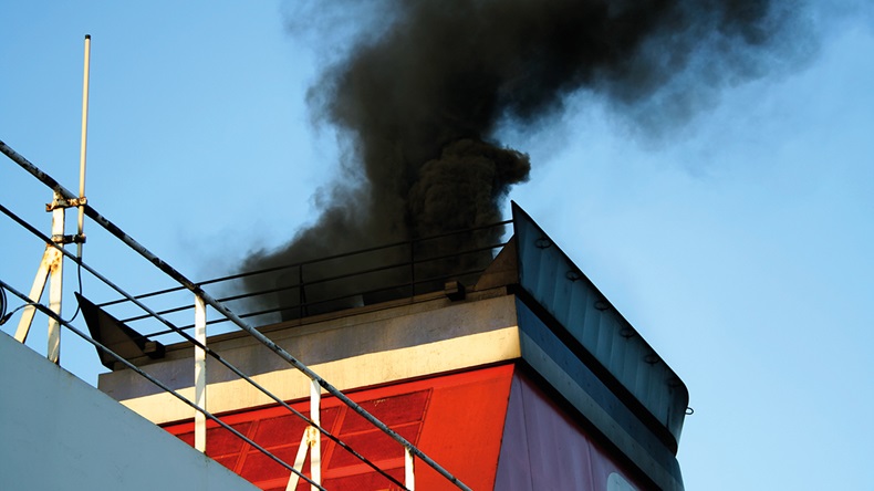 Alexei Novikov/Shutterstock.com