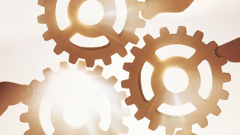 maradon 333/Shutterstock.com