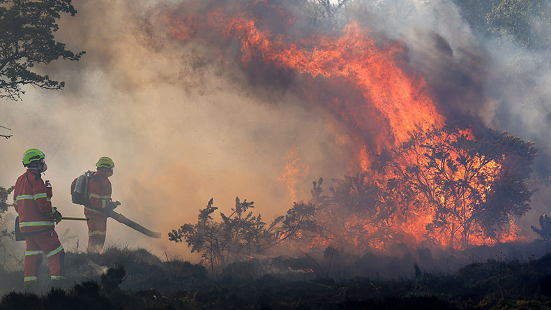 Fire and Rescue Service (SFRS) and the Scottish Wildlife Forum (SWF) have issued warnings for wildfires across Scotland from Thursday and into the weekend in some regions. 
