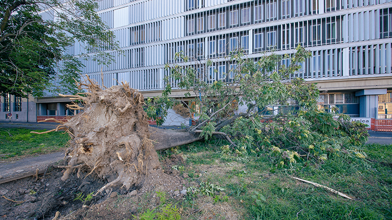 Street view of Milano, fallen trees and damages are visible after a violent storm on the city. 