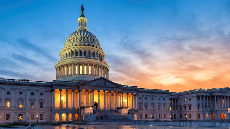 US Capitol building, Washington, DC