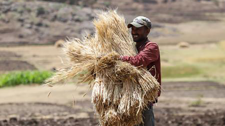 Ethiopian farmer helped by the EIB Global and World Food Bank programme
