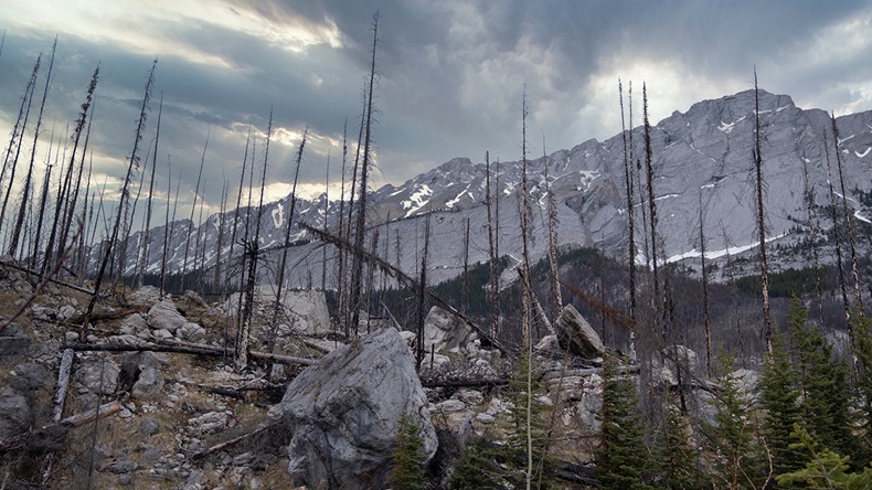 Alberta Jasper fire (2024)
