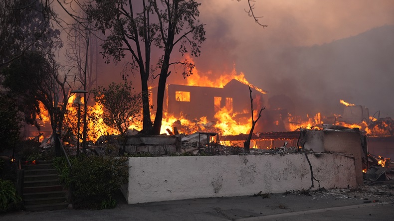 California Palisades fire (2025)