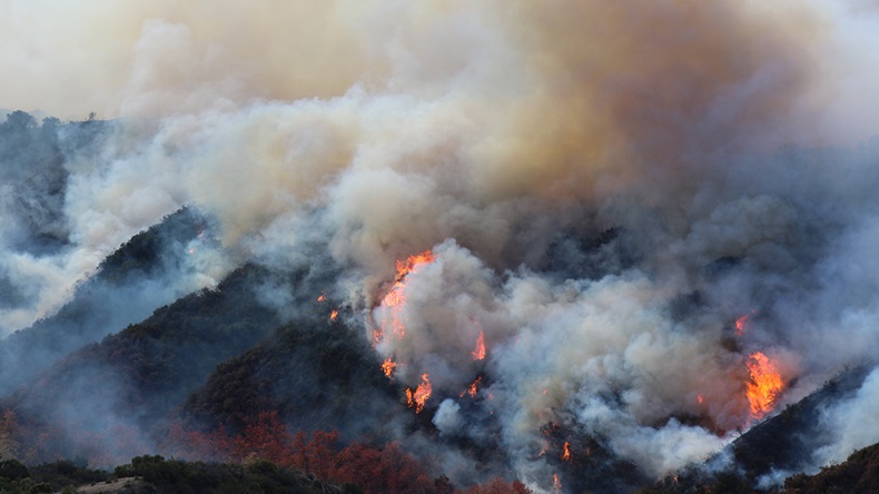 California Palisades wildfire