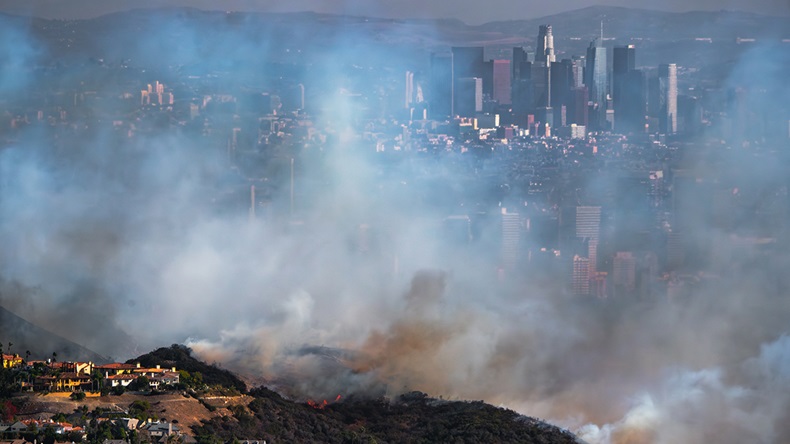 California Palisades fire (2025)