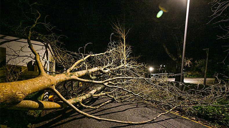 Windstorm Goretti in January 2026