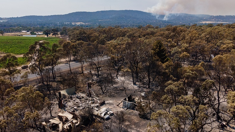 Victoria, Australia January bushfire (2026)