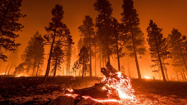 California wildfire