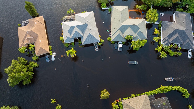 Hurricane Debby Florida (2024)