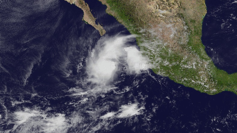 Tropical Storm Ileana (2024)